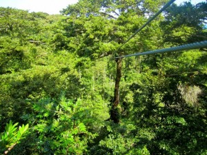 sky-zipline-canopy-tour